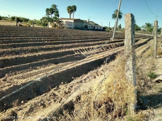 MAGNIFICO TERRENO URBANIZABLE MUY CERCANO A ELCHE - ALICANTE