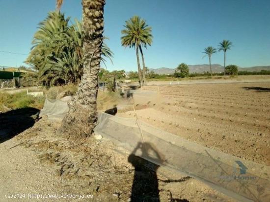 MAGNIFICO TERRENO URBANIZABLE MUY CERCANO A ELCHE - ALICANTE