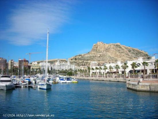 bungalow estupendo reformado todo arreglado.a mueblado con todos los servicios a mano - ALICANTE