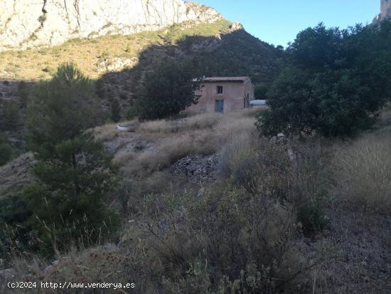  SE VENDE TERRENO PARAJE NATURAL, EN PLENA NATURALEZA  A 20 MINUTOS DE ALICANTE - ALICANTE 