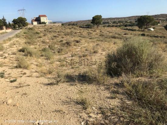 SE VENDE TERRENO , RUSTICO , ZONA MUY TRANQUILA , 35.000 MTS - ALICANTE