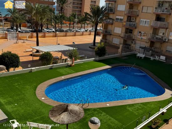 Magnifica vivienda en alquiler de Septiembre a Junio, Arenales de Sol. - ALICANTE