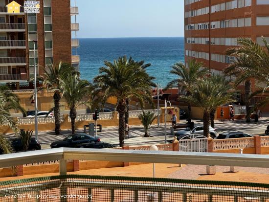 Magnifica vivienda en alquiler de Septiembre a Junio, Arenales de Sol. - ALICANTE