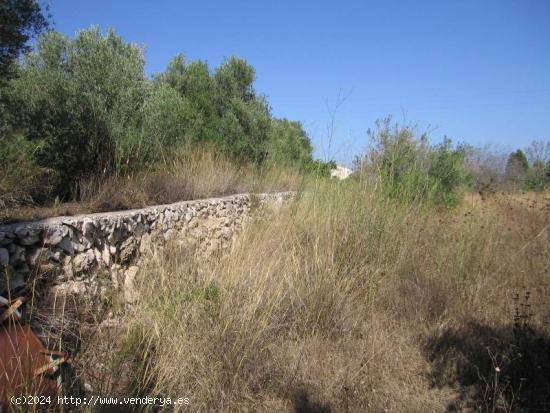 ✓Terreno en Jávea Orientado al Sur, Llano y Vistas Despejadas - ALICANTE