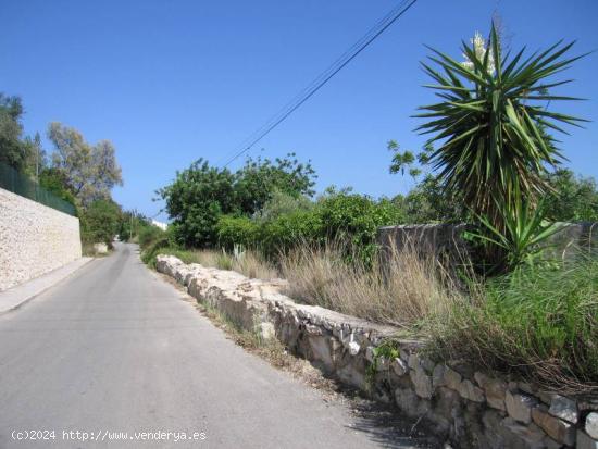 ✓Terreno en Jávea Orientado al Sur, Llano y Vistas Despejadas - ALICANTE