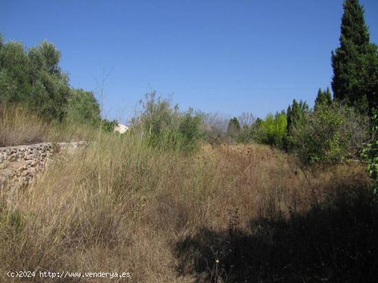 ✓Terreno en Jávea Orientado al Sur, Llano y Vistas Despejadas - ALICANTE