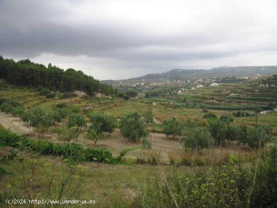 ▷Terreno Rustico en Teulada - ALICANTE