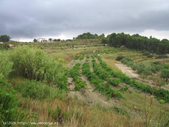 ▷Terreno Rustico en Teulada - ALICANTE