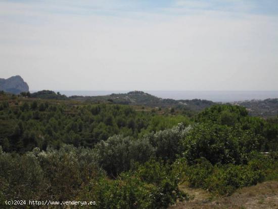 ▷Terrenos Rústicos Vistas al Mar, Benissa - ALICANTE