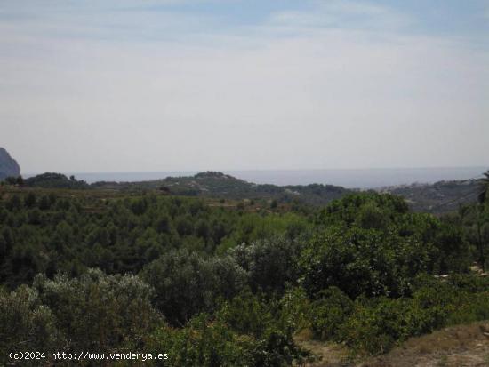 ▷Terrenos Rústicos Vistas al Mar, Benissa - ALICANTE