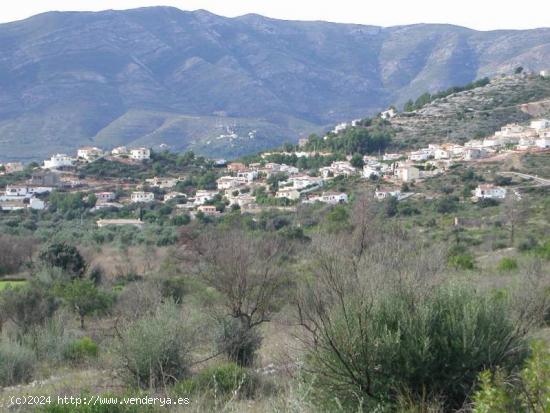 Amplia parcela en Alcalali - ALICANTE