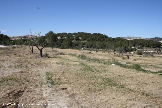 ▷Parcela Rústica en entorno Urbano en Moraira - ALICANTE