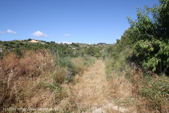  Terreno rustico en Benissa - ALICANTE 