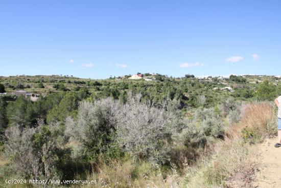 Terreno rustico en Benissa - ALICANTE