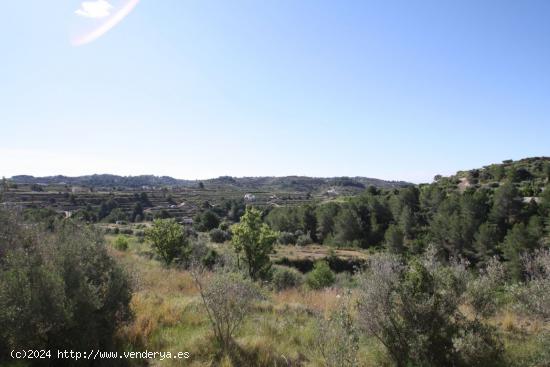 Terreno rustico en Benissa - ALICANTE