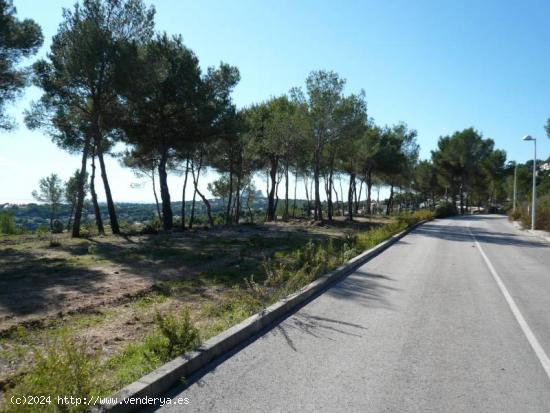 Parcelas de primera en Moraira - Benimeit - ALICANTE