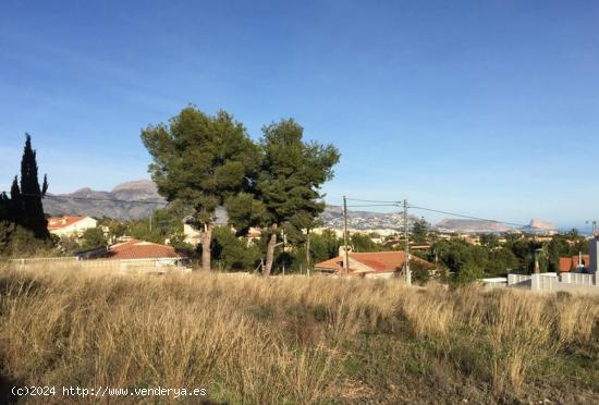  ▷Parcela La Nucía Alicante Costa Blanca - ALICANTE 