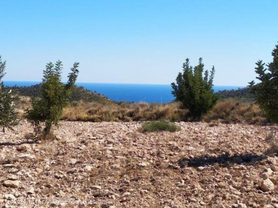 ✓Parcela Rústica en Relleu con Vistas al Mar, Costa Blanca Alicante - ALICANTE