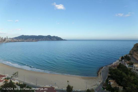  Un estudio con vistas al mar - ALICANTE 