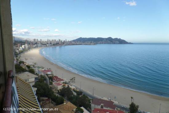 Un estudio con vistas al mar - ALICANTE