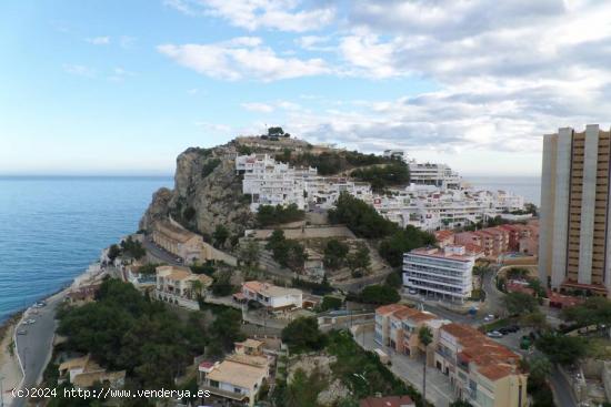 Un estudio con vistas al mar - ALICANTE