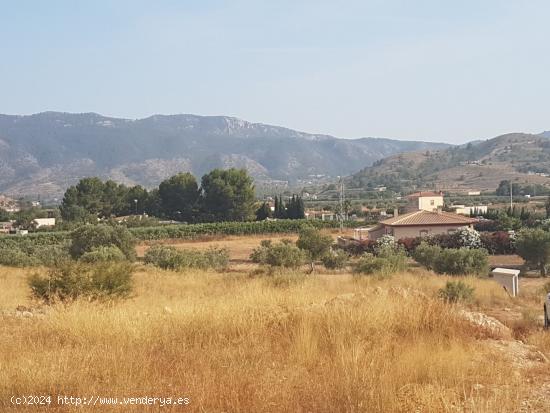 Terreno para construir Chalet muy cerca de Hondon de las Nieves (Alicante) España - ALICANTE