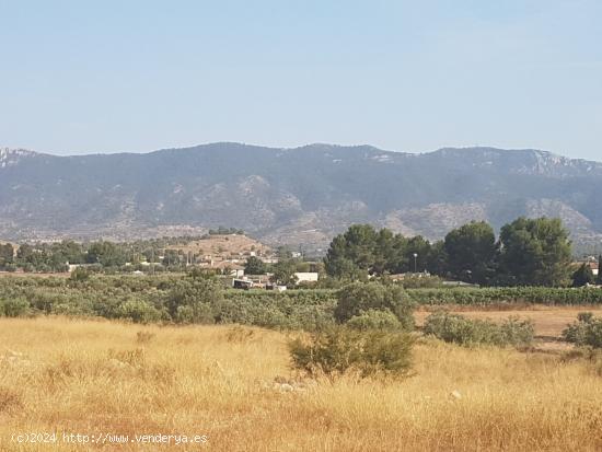 Terreno para construir Chalet muy cerca de Hondon de las Nieves (Alicante) España - ALICANTE