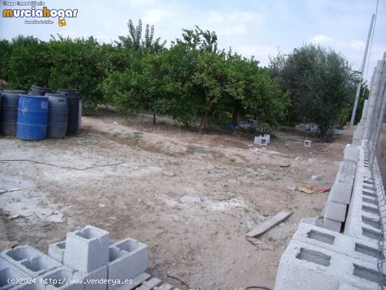 TIERRA DE HUERTA EN TORREAGUERA - MURCIA