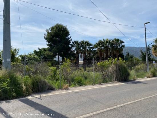 VENTA DE PARCELA 6.000M2 CON CASA - MURCIA