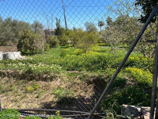 Venta parcela 2.555 m2., con casa en 2 plantas en llano de Brujas, - MURCIA