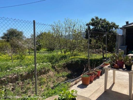 Venta parcela 2.555 m2., con casa en 2 plantas en llano de Brujas, - MURCIA