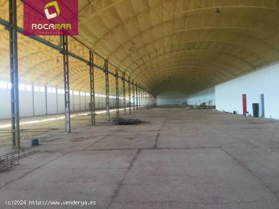 NAVE INDUTRIAL DE  10.000 M. CON TERRENO PRIVADO - ALICANTE