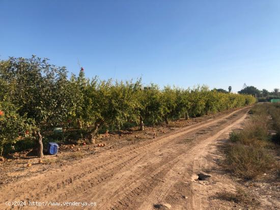  !!!!HUERTO PARCELA EL LA BAYA, JUNTO CAMBAYAS, 12.083M HUERTO DE GRANADOS, TERRENO EDIFICABLE !!! -  