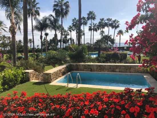  Precioso bajo con jardin y piscina en pleno Puerto Banus. - MALAGA 