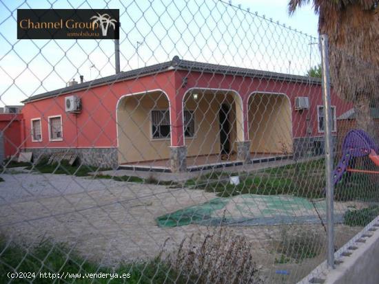  Campo en zona de Matola para entrar a vivir. - ALICANTE 