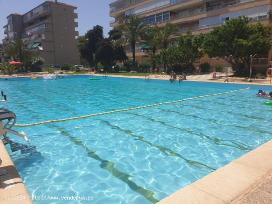  ESPECTACULAR APARTAMENTO 2 HABS PISCINA COMUNITARIA, VISTAS AL MAR PINOMAR 125.900€ - ALICANTE 