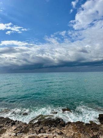 PISO EN ALQUILER JUNTO AL MAR - BARCELONA