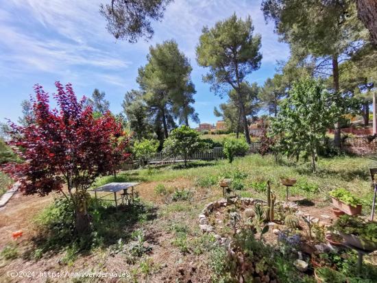  Llano, soleado y vallado. - BARCELONA 