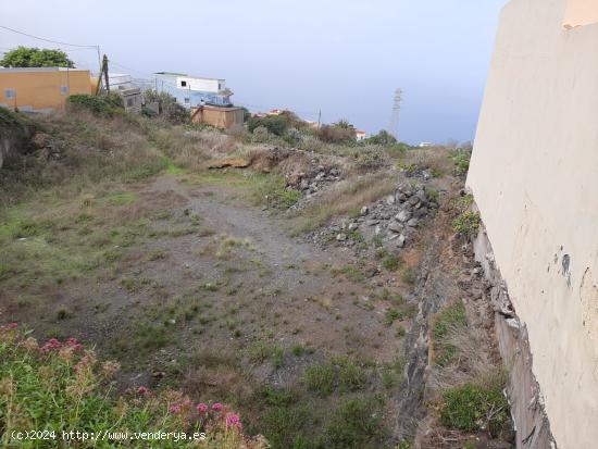  SOLAR URBANO EN LA MATANZA DE ACENTEJO - SANTA CRUZ DE TENERIFE 