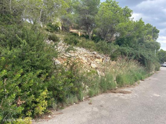  TERRENO URBANO EN SEGUR DE CALAFELL - TARRAGONA 