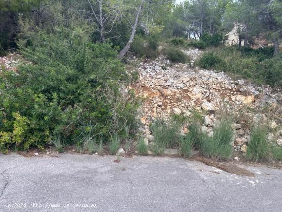 TERRENO URBANO EN SEGUR DE CALAFELL - TARRAGONA