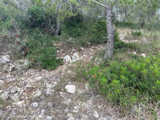 TERRENO URBANO EN SEGUR DE CALAFELL - TARRAGONA