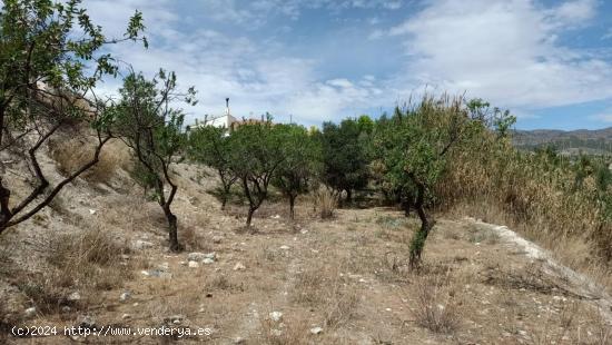 LÚCAR ( ALMERÍA ), TERRENO URBANO CON AGUA . - ALMERIA