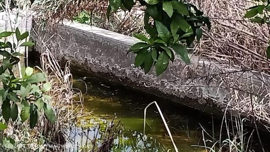 LÚCAR ( ALMERÍA ), TERRENO URBANO CON AGUA . - ALMERIA