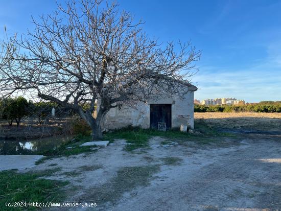  Casita agricola entre Piles y Miramar de 26 metros con 3693 de parcela agrícola - VALENCIA 