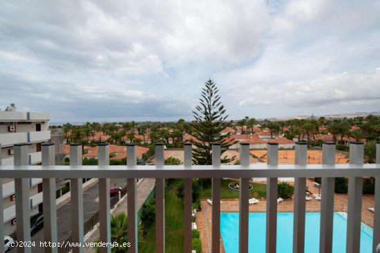 Apartamento céntrico y en planta alta con vistas despejadas - LAS PALMAS