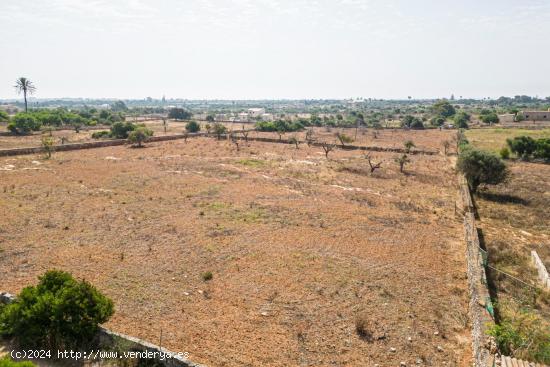 Finca rústica para construir en la carretera de s'Illot - Portocristo - BALEARES