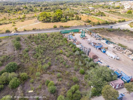  Terreno en Polígono Industrial en Artá, Mallorca - BALEARES 