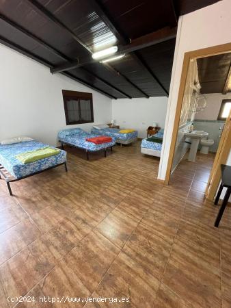 SE ALQUILA APARTAMENTO EN CARRETERA ARCOS- EL BOSQUE - CADIZ