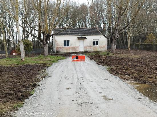 SE VENDE CASA CON FINCA CERRADA EN O CORGO - LUGO